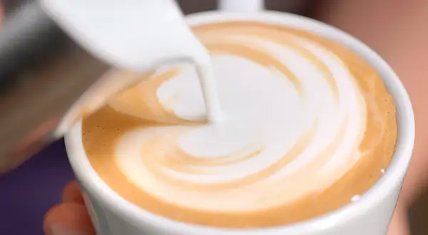 Latte art in una tazza: il caffè pro e contro di questa bevanda amata.
