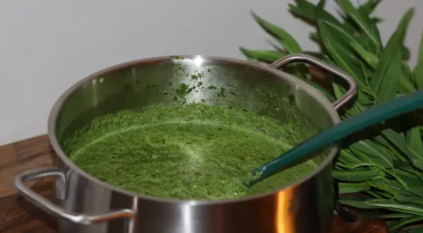 En kastrull med grön spenatsoppa, redo för ett enkelt spenatsoppa recept. Gröna blad syns i bakgrunden.