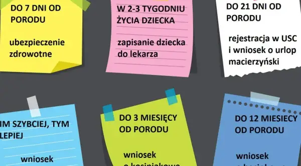 Terminy formalności po porodzie: ubezpieczenie, rejestracja dziecka, urlop macierzyński, wniosek o 500+, kosiniakowe, beciokowe. Czy jest obowiązek meldunku? Nie ma go na liście.