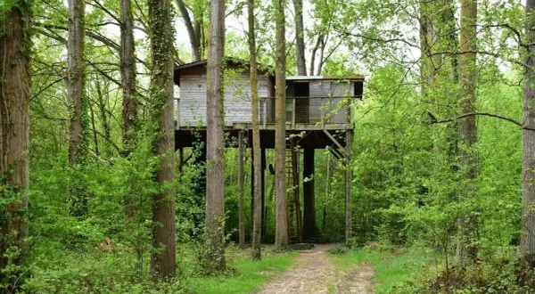 Une cabane dans les arbres haut de France, perchée au milieu d'une forêt verdoyante, invite à l'aventure. Un chemin serpente vers cette retraite insolite.