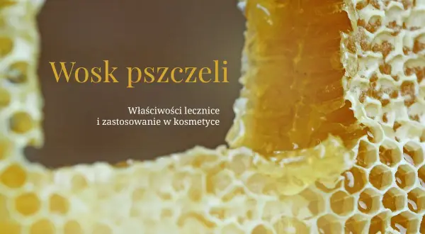Wosk pszczeli, idealny dla cera alba, w plastrach miodu. Właściwości lecznicze i zastosowanie w kosmetyce.