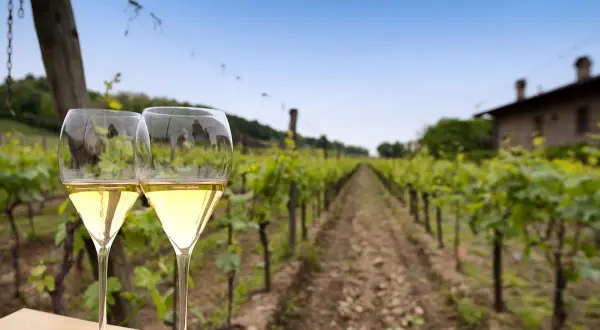 Due calici di Franciacorta metodo classico, con vigneti e una casa in lontananza sotto un cielo azzurro.