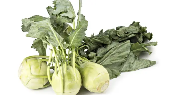 Trzy świeże kalarepy z zielonymi liśćmi. Niska kalarepa kcal to zdrowa przekąska.