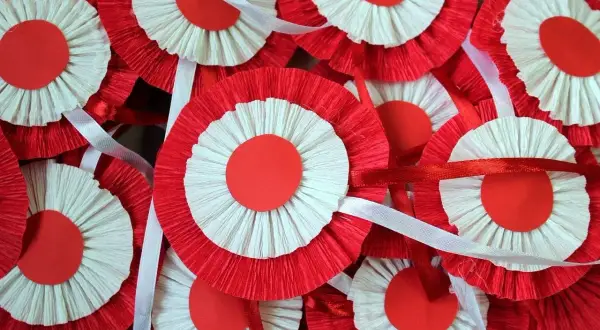 Mnóstwo biało-czerwonych kotylionów z papieru marszczonego, ozdobionych wstążkami, gotowych na świętowanie.