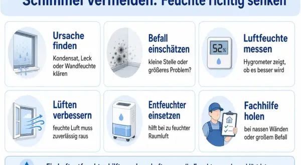 Schimmel vermeiden: Ursachen finden, Befall einschätzen, Luftfeuchtigkeit messen & senken. Ein Luftentfeuchter hilft bei zu feuchter Raumluft.