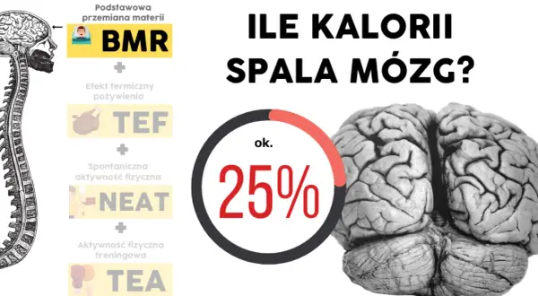 Czy rozciąganie spala kalorie? Poznaj fakty i prawdziwe korzyści!