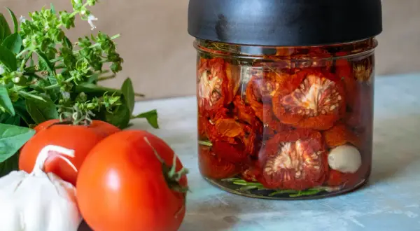 Glas mit eingelegten, sonnengetrockneten Tomaten, frischen Tomaten, Knoblauch und Basilikum. Perfekt für die Konservierung von Tomaten.