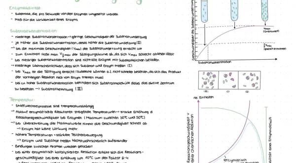 Notizen zu enzymatischen Reaktionen: Die RGT-Regel beschreibt, wie sich die Reaktionsgeschwindigkeit mit der Temperatur ändert.