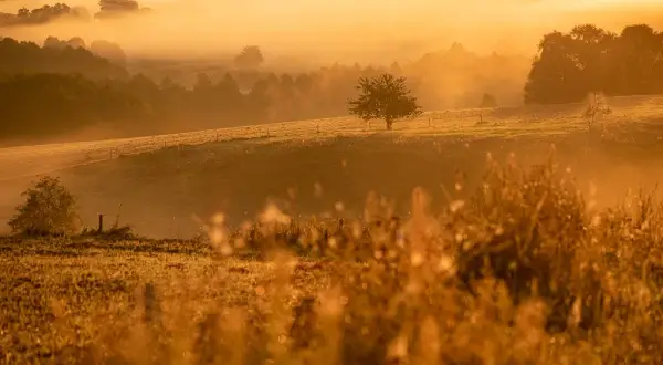 Fotograf jak zacząć - Kluczowe wskazówki dla początkujących fotografów