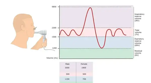 Graficzna prezentacja badania spirometria: człowiek z ustnikiem, wykres objętości płuc i tabela danych.