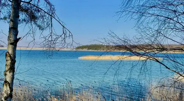 Szmaragdowe jezioro w Koninie, otoczone trzcinami i nagimi gałęziami drzew, lśni w słońcu pod błękitnym niebem.
