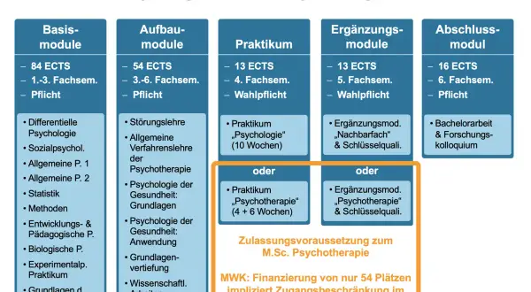 Aufbau des polyvalenten Bachelor Psychologie: Basis-, Aufbau-, Praktikums-, Ergänzungs- und Abschlussmodule.