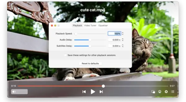A cute cat video on a Mac is not playing. The playback speed is set to 100%, with no audio or subtitle delay.