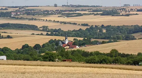 Wie wiele kościół ma ziemi w Polsce? Widok na wieś z kościołem i polami zbóż.