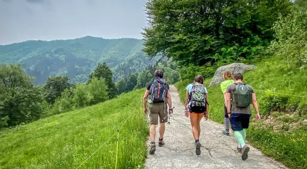 Un gruppo di amici fa delle **passeggiate in montagna vicino a Milano**, godendosi il verde lussureggiante e le colline ondulate.