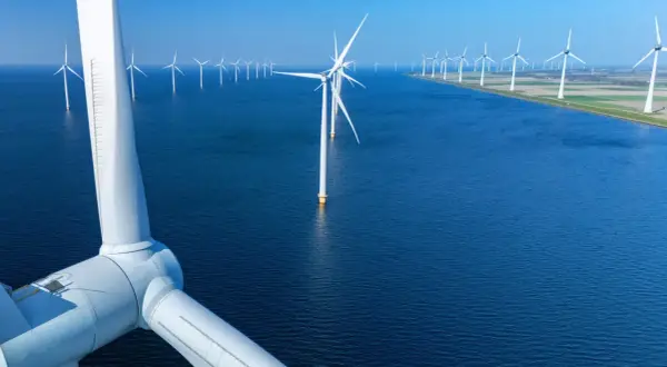 Wielka farma wiatrowa na morzu. To właśnie branza OZE, czyli odnawialne źródła energii, które czerpią moc z natury.
