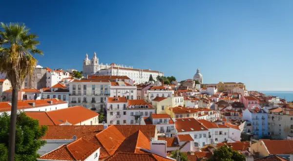 Blick über die Dächer der Lissabon Altstadt mit Palmen und Kirchen im Hintergrund unter blauem Himmel.