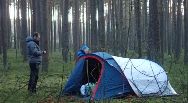 Dwóch ludzi rozbija namiot w lesie, przygotowując się do noclegu w stylu bushcraft.