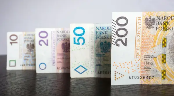 Ile wynoszą odsetki ustawowe i jak wpływają na Twoje finanse?