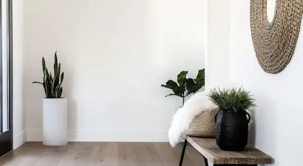 Przytulny przedpokój w stylu boho z drewnianą ławką, plecionym lustrem i zielonymi roślinami.