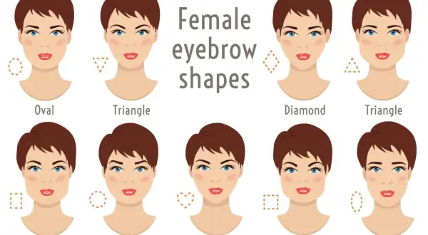 Illustrazione di diverse forme di viso e sopracciglia. Trova la forma giusta per il tuo viso.