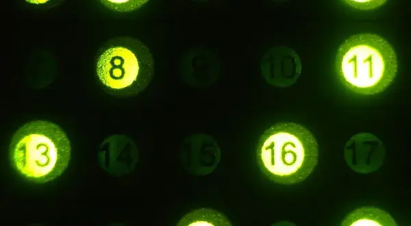 Czy warto grać w lotto? Odkryj prawdę o szansach i stratach