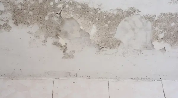 Schimmel und abblätternde Farbe an einer feuchten Kellerwand. Was tun gegen den Schimmelbefall?