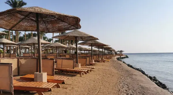 Plaża w Egipcie z rzędami leżaków i parasoli. Zastanawiasz się, ile kosztuje wiza do Egiptu, by móc tu wypocząć?