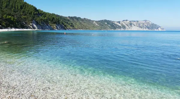 Acque cristalline e ciottoli bianchi sulla spiaggia di Ancona, con la costa verdeggiante e le maestose falesie sullo sfondo.