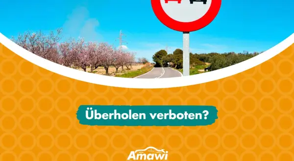 Verkehrsschild "Überholen verboten" (VZ 276) vor blühenden Bäumen und einer Straße. Frage: Überholen verboten?