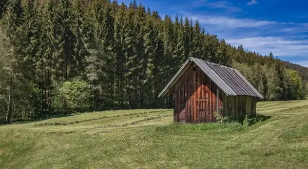 Pequeña casa de aperos de madera, con tejado a dos aguas, en un prado verde junto a un denso bosque. Ideal para planos de casa de aperos como vivienda.