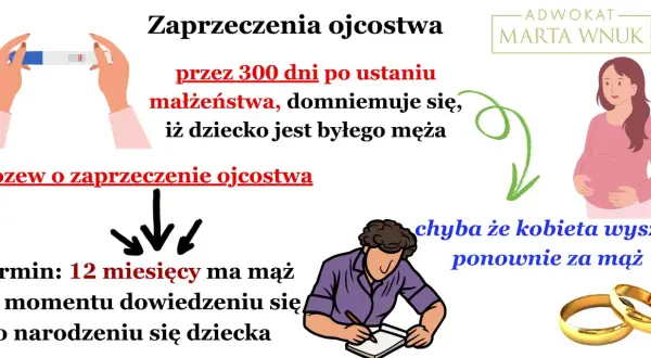 Grafika ilustruje zaprzeczenie ojcostwa. Pokazuje ciążę, test ciążowy, prawniczkę Martę Wnuk, mężczyznę piszącego dokument i obrączki.
