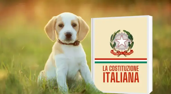 Un cucciolo di cane seduto sull'erba accanto a un libro intitolato "La Costituzione Italiana".