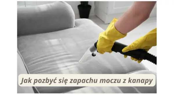 Jak usunąć zapach moczu z kanapy? Skuteczne metody i porady