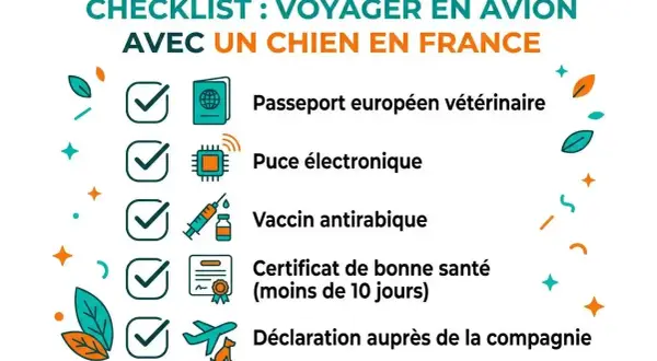 Checklist pour voyager en avion avec un chien en France : passeport, puce, vaccin, certificat de santé, déclaration. La meilleure compagnie aérienne pour animaux prendra en compte ces éléments.