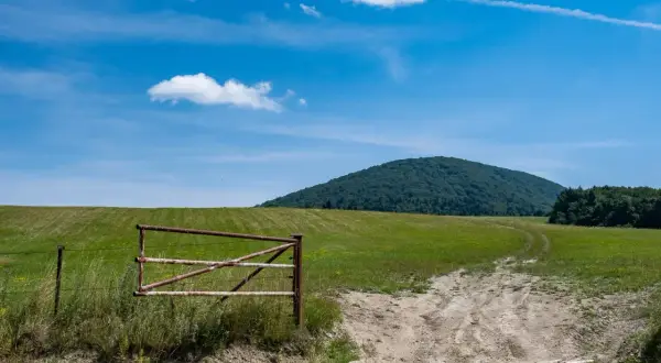 Droga prowadzi przez zielone łąki ku górze, niczym lackowa ściana płaczu. Rdzawy płotek stoi na straży.