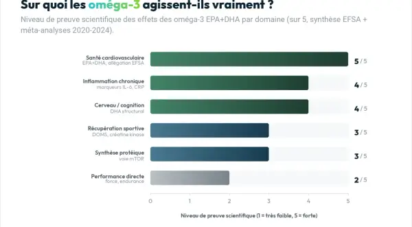 Les oméga-3 soutiennent la santé cardiovasculaire (5/5), l'inflammation chronique (4/5), le cerveau (4/5), la récupération sportive (3/5) et la synthèse protéique (3/5).