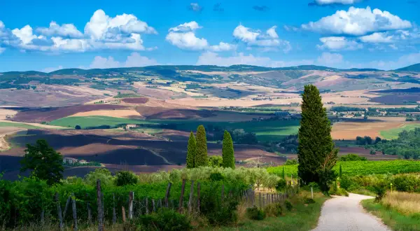 Strada sterrata attraversa dolci colline coltivate nella regione del Chianti, sotto un cielo azzurro con nuvole bianche.