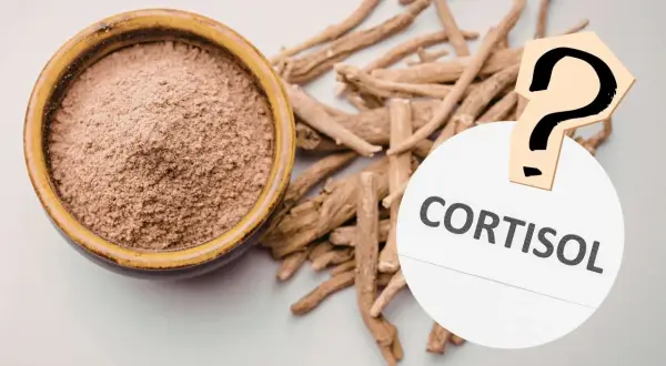 Ashwagandha-Wurzeln und Pulver neben einem Fragezeichen und dem Wort "Cortisol". Hilft Ashwagandha bei der Cortisol-Regulation?