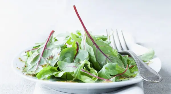 Frischer mangold salat mit Vinaigrette auf einem Teller, daneben eine Gabel.