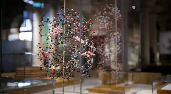 Molekylmodeller i glasmonter, en fascinerande utställning som ger en inblick i vetenskapens värld. Perfekt för nobel prize museum reviews.