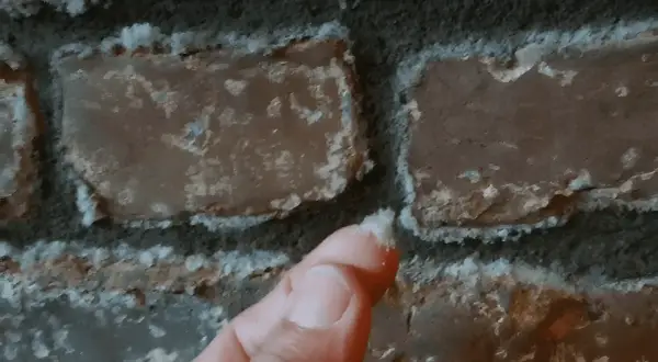 Ein Finger berührt weiße Ablagerungen auf einer Ziegelwand. Dies zeigt, wie Salpeter entsteht, oft durch Feuchtigkeit und chemische Reaktionen.
