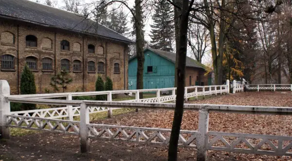 Stadnina koni Kętrzyn: historia, hodowla i atrakcje turystyczne