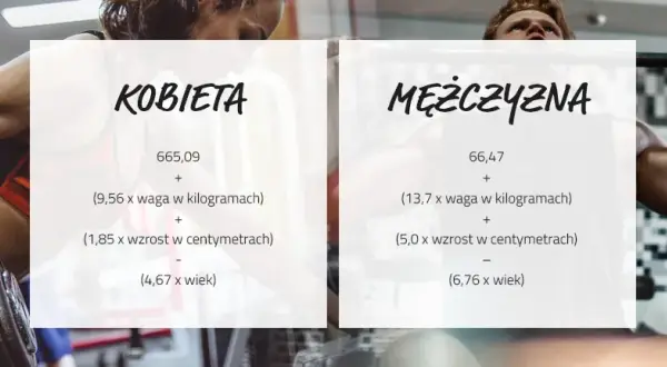 Ile powinien trwać trening siłowy na redukcji? Ochrona mięśni to klucz!
