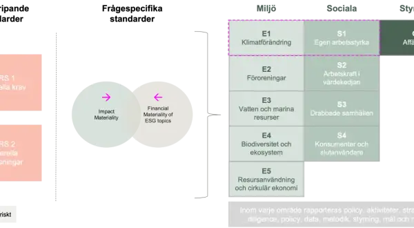Schema för CSRD-direktivets standarder: övergripande, specifika, miljö, sociala och styrning.