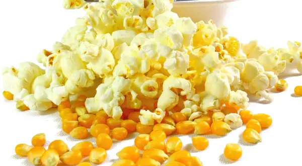 Czy popcorn ma gluten? Sprawdź, co musisz wiedzieć o ryzyku