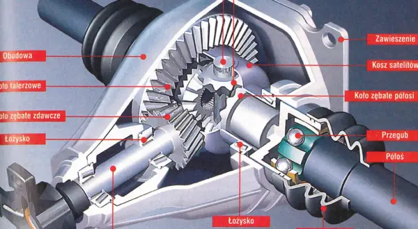 Przekrój mechanizmu różnicowego (dyferencjał) z widocznymi kołami zębatymi, łożyskami i półosią.