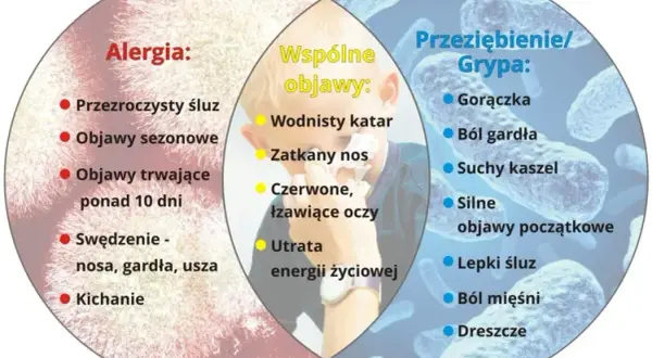 Alergia: Jak rozpoznać objawy? Kluczowe sygnały i różnice