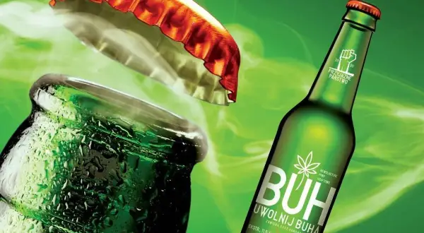 Piwo BUH: THC? Psychoaktywność? Ekspert rozwiewa wątpliwości