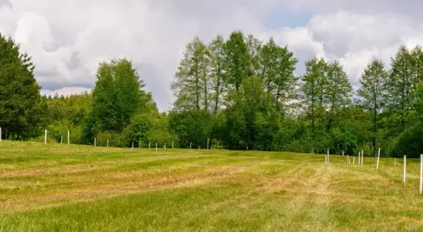 Ile kosztuje podział działki? Sprawdź, by uniknąć niepotrzebnych wydatków